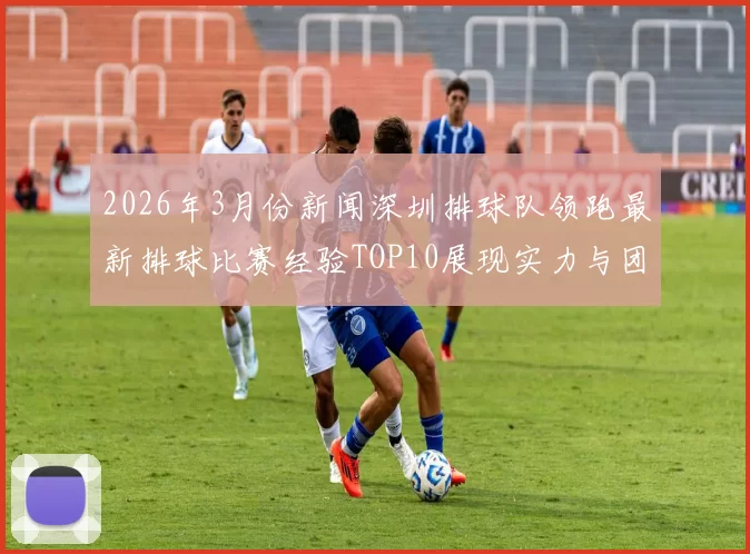 2026年3月份新闻深圳排球队领跑最新排球比赛经验TOP10展现实力与团队合作精神